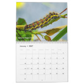 Calendrier Caterpiliers de la série Jardin (Jan 2027)
