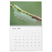 Calendrier Caterpillar classent (Jan 2027)