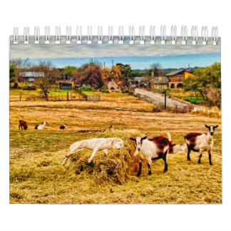 Calendrier Cathy P. Jones 2019
