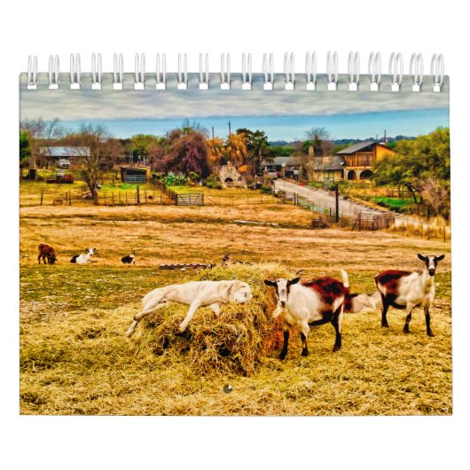 Calendrier Cathy P. Jones 2019 (Protection)