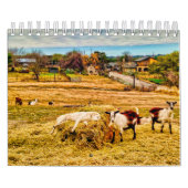 Calendrier Cathy P. Jones 2019 (Protection)