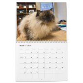 CALENDRIER CATLENDRIER TOUJOURS ET POUR TOUJOURS (Mar 2026)