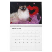 CALENDRIER CATLENDRIER TOUJOURS ET POUR TOUJOURS (Feb 2026)