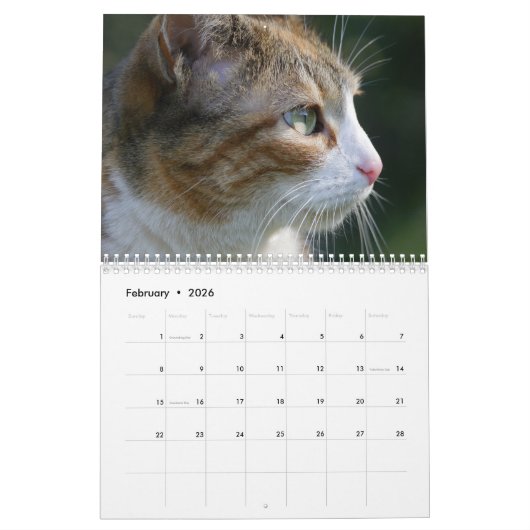 Calendrier Cats 2026 Calendar (Feb 2026)