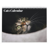 Calendrier Cats 2026 Calendar (Protection)