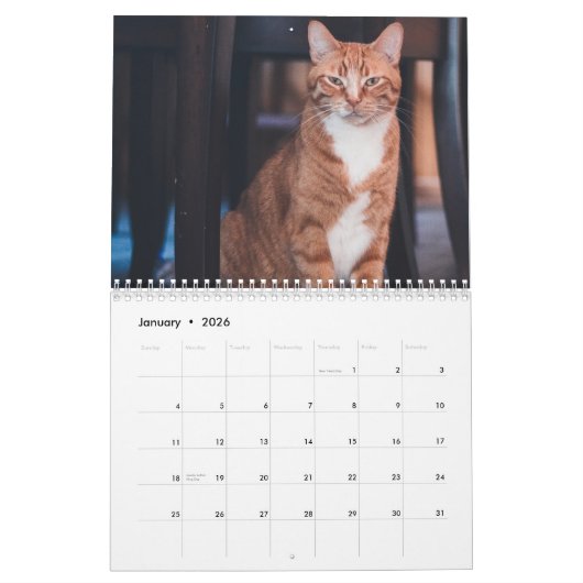 Calendrier Cats 2026 Calendar (Jan 2026)