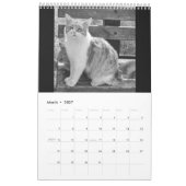 Calendrier Cats et kitten (Mar 2027)