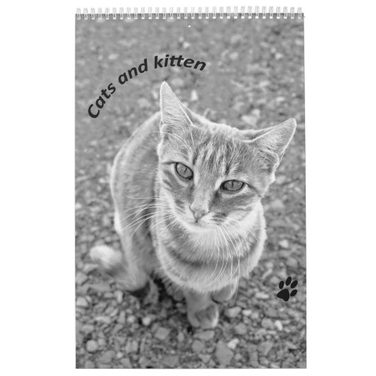 Calendrier Cats et kitten (Protection)