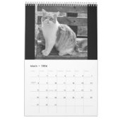 Calendrier Cats et kitten (Mar 2026)