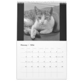 Calendrier Cats et kitten (Feb 2026)
