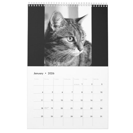 Calendrier Cats et kitten (Jan 2026)
