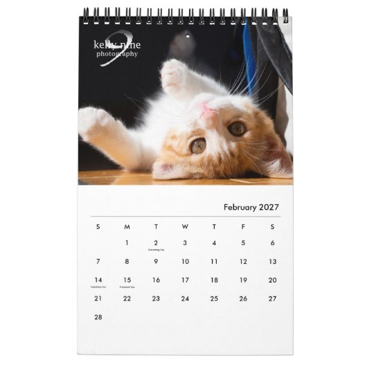 Calendrier Cats & Kittens par Kelly Nine Photographie (Feb 2027)