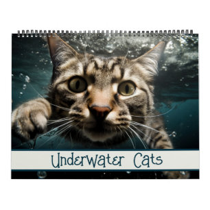 Calendrier Cats sous-marins Photographie amusante