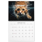 Calendrier Cats sous-marins Photographie amusante (Feb 2026)