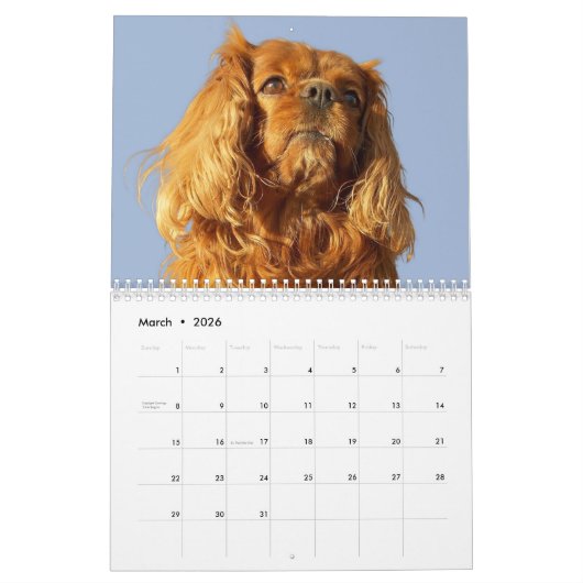 Calendrier Cavalier King Charles Spaniel Chien #2 (Mar 2026)