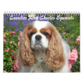 Calendrier Cavalier King Charles Spaniel Chien #2 (Protection)