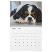 Calendrier Cavalier King Charles Spaniel Chien #2 (Jan 2026)