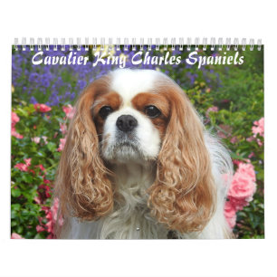 Calendrier Cavalier King Charles Spaniel Chien #2