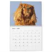 Calendrier Cavalier King Charles Spaniel Chien #2 (Mar 2027)