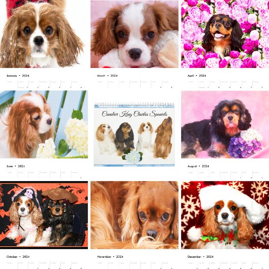 Calendrier Cavaliers King Charles Spaniels