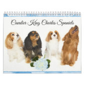 Calendrier Cavaliers King Charles Spaniels (Protection)