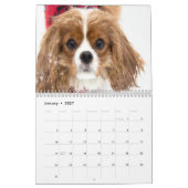 Calendrier Cavaliers King Charles Spaniels (Jan 2027)
