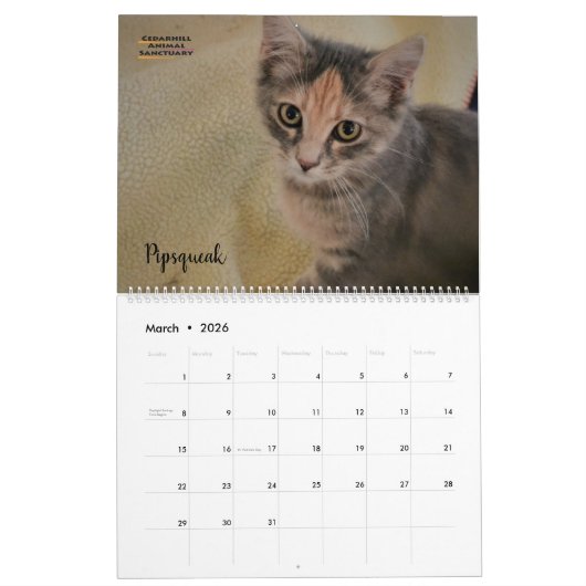 Calendrier Cedarhill 2020 (Mar 2026)