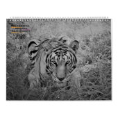 Calendrier Cedarhill 2020 (Protection)