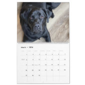 Calendrier Celebrating Black Labs Labrador Dog Calendar 2026 (Mar 2026)