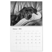 Calendrier Celebrating Black Labs Labrador Dog Calendar 2026 (Feb 2026)