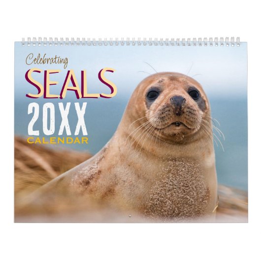 Calendrier Celebrating Seals Wall Calendar 2026 Wildlife (Protection)