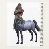 Calendrier Centaur (Dos)