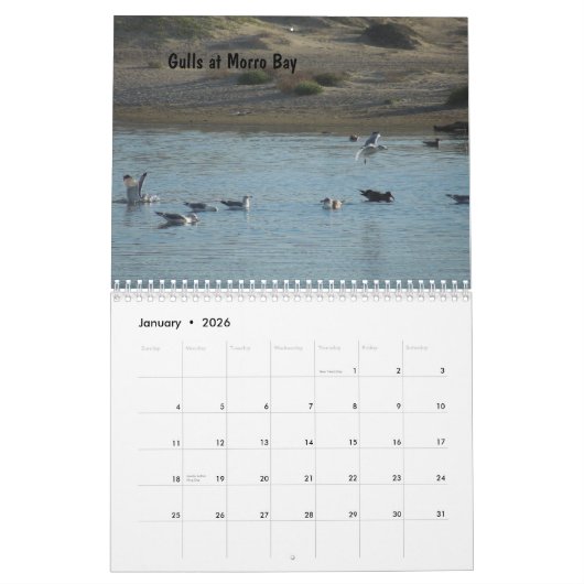 Calendrier central 2013 de côte de la Californie (Jan 2026)