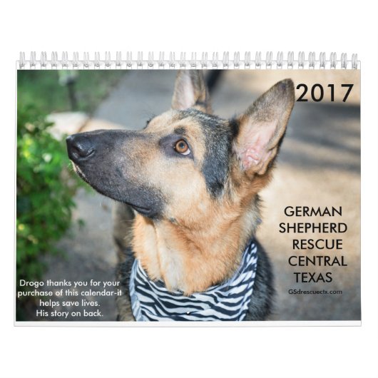 Calendrier central du Texas 2017 de délivrance de (Protection)