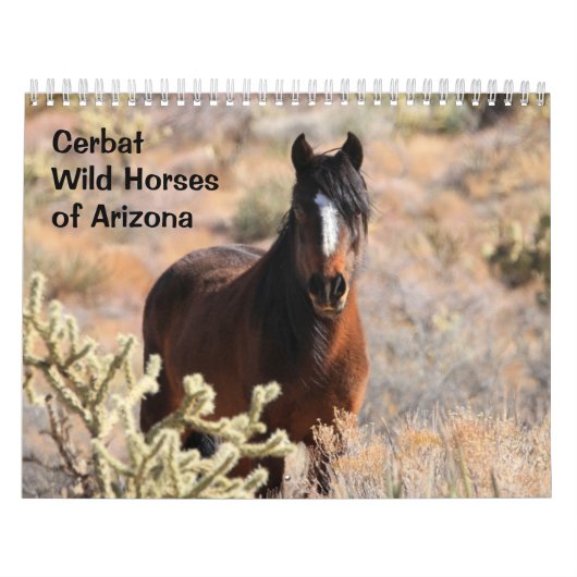 Calendrier Cerbat Wild Horses Calendar (Protection)