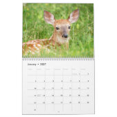 Calendrier Cerf à queue blanche 2026 (Jan 2027)