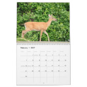 Calendrier Cerf à queue blanche 2026 (Feb 2027)