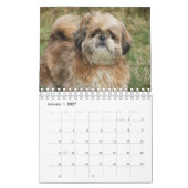 Calendrier C'est un monde chiite de Tzu (Jan 2027)