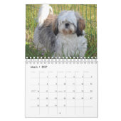 Calendrier C'est un monde chiite de Tzu (Mar 2027)