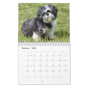 Calendrier C'est un monde chiite de Tzu (Feb 2026)