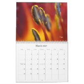 Calendrier C'est un petit monde (Mar 2027)