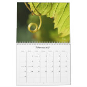 Calendrier C'est un petit monde (Feb 2027)