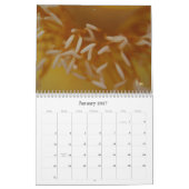 Calendrier C'est un petit monde (Jan 2027)