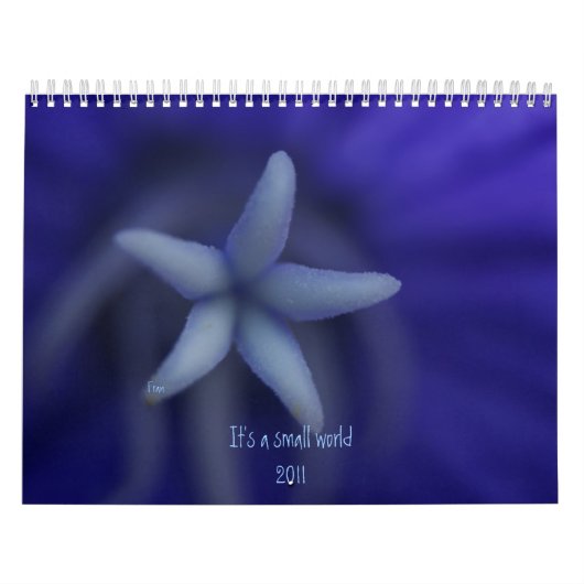 Calendrier C'est un petit monde (Protection)