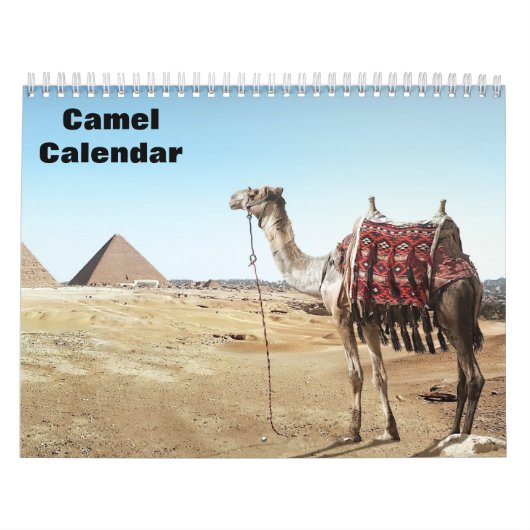 Calendrier Chameaux 2027 (Protection)