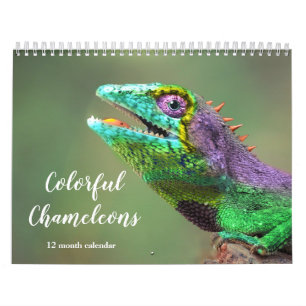 Calendrier Chameleons colorés 2026