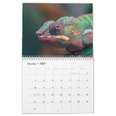Calendrier Chameleons colorés 2026 (Jan 2027)