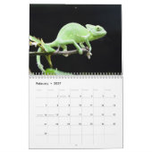 Calendrier Chameleons colorés 2026 (Feb 2027)