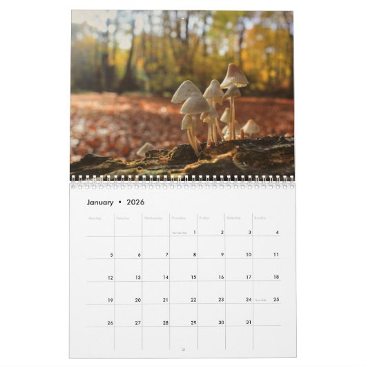 Calendrier Champignons (Jan 2026)