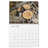 Calendrier Champignons bizarres (Jan 2027)